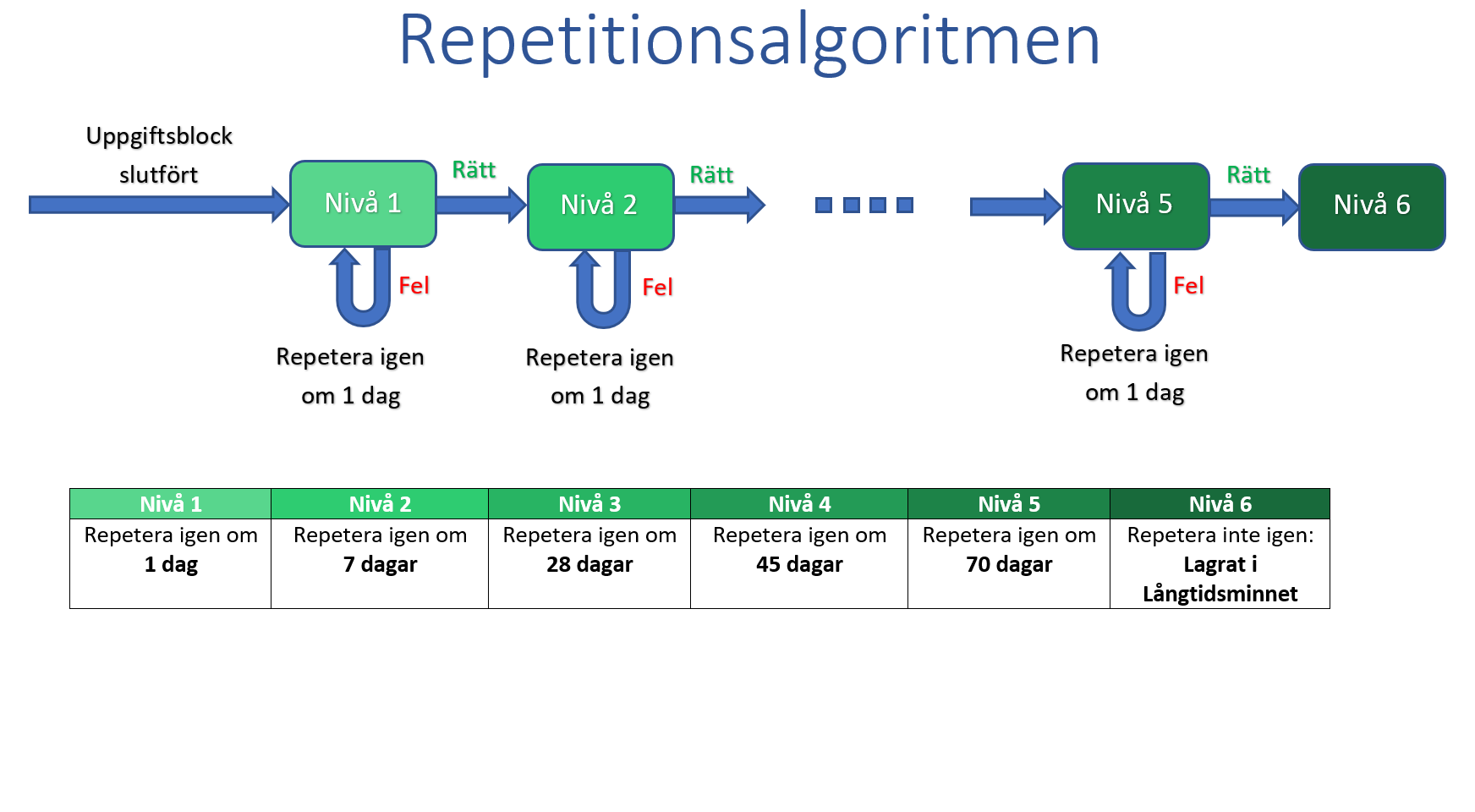 bild-repetitionsalgoritmen